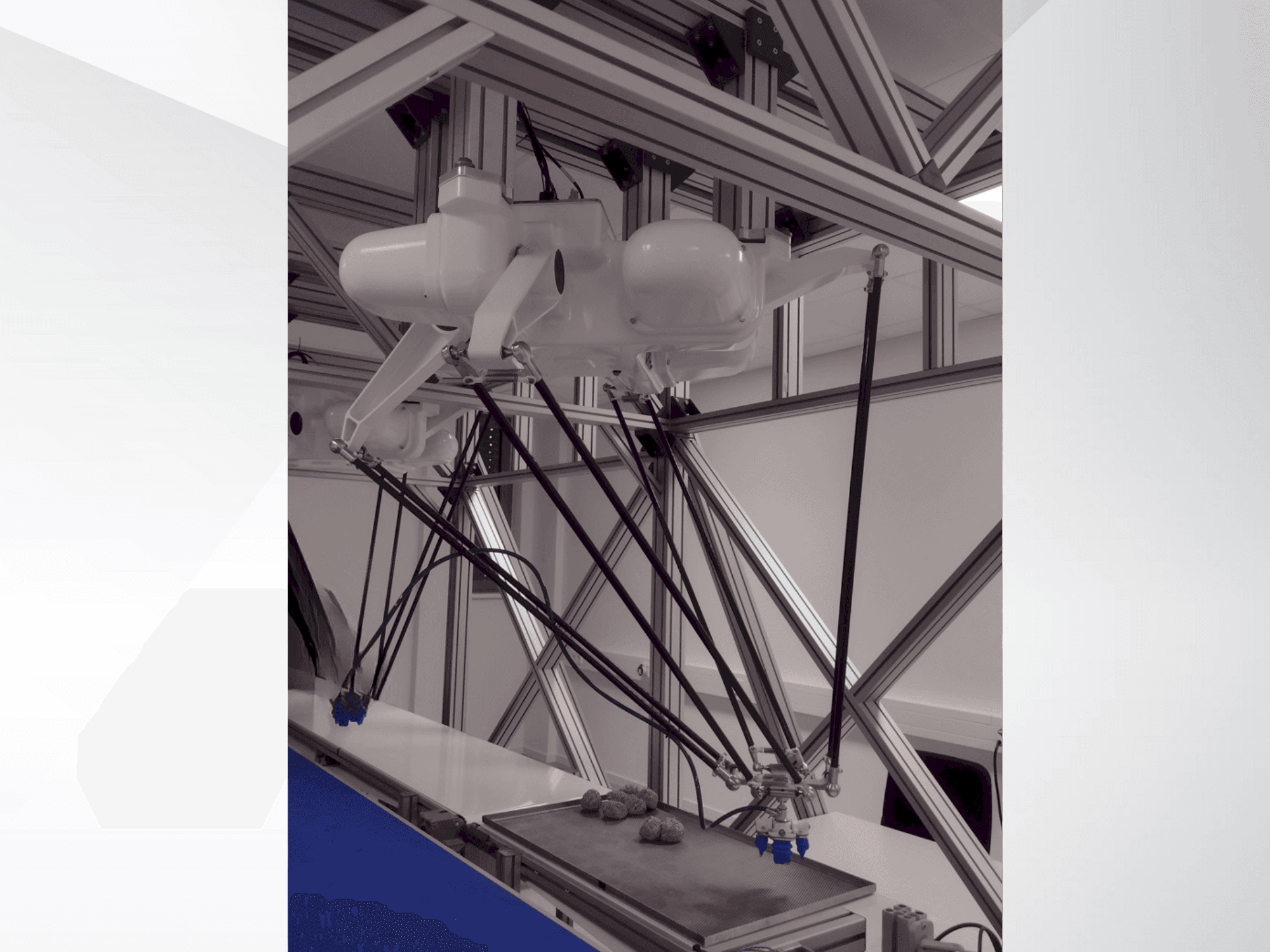 Front view of OMRON Quattro 800HS with Platform P30 machine